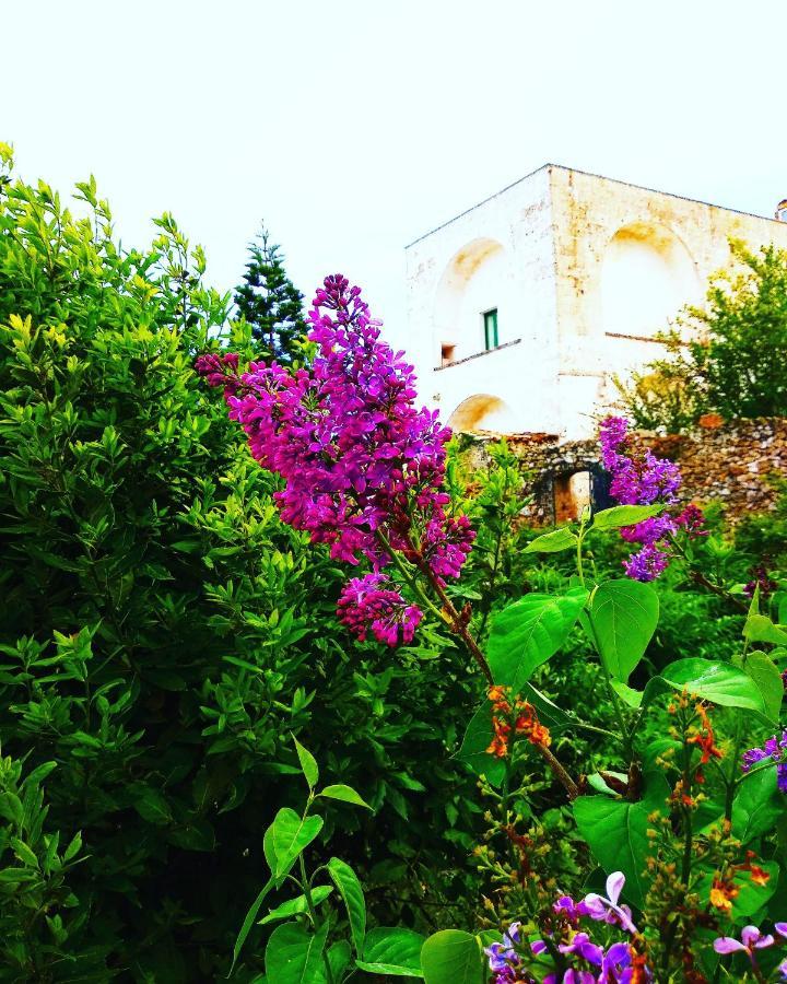 Masseria Delle Rose 1760 Alessano Extérieur photo